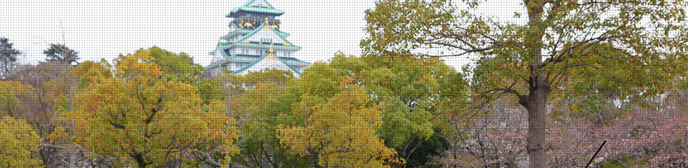 大阪のドライブコース