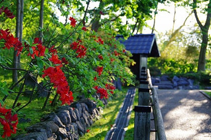 しかべ間歇泉公園の噴出孔