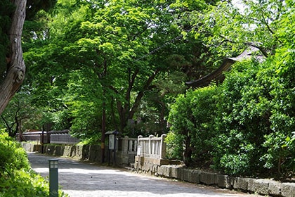 松前城に隣接する寺町周辺