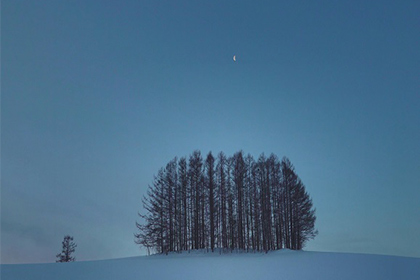 マイルドセブンの丘