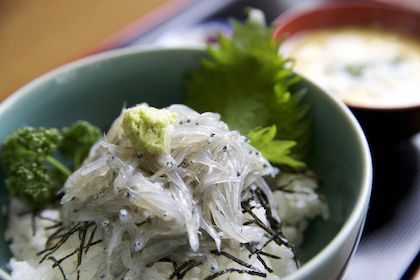 生しらす丼