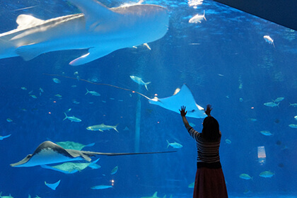 いおワールド かごしま水族館