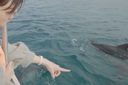 南島原イルカウォッチング