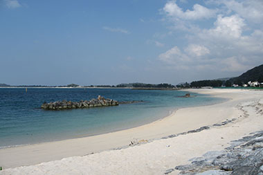 国頭の海