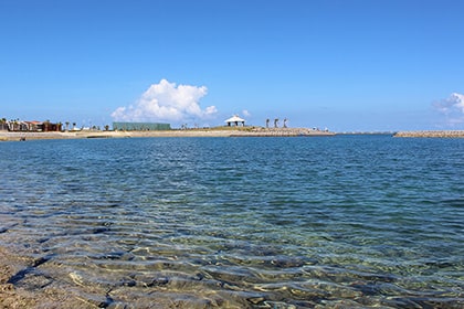 波の上緑地