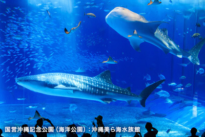 海洋博公園