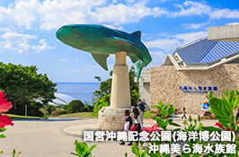 たびらいレンタカー沖縄予約者限定！最大4000円オトク美ら海水族館含む7施設の入園チケット