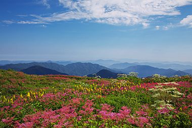 伊吹山