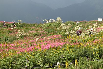 山上散策
