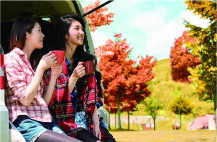 ゴールド免許割引きプラン画像