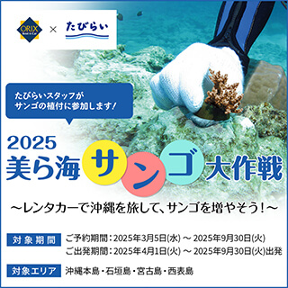 美ら海サンゴ大作戦2025