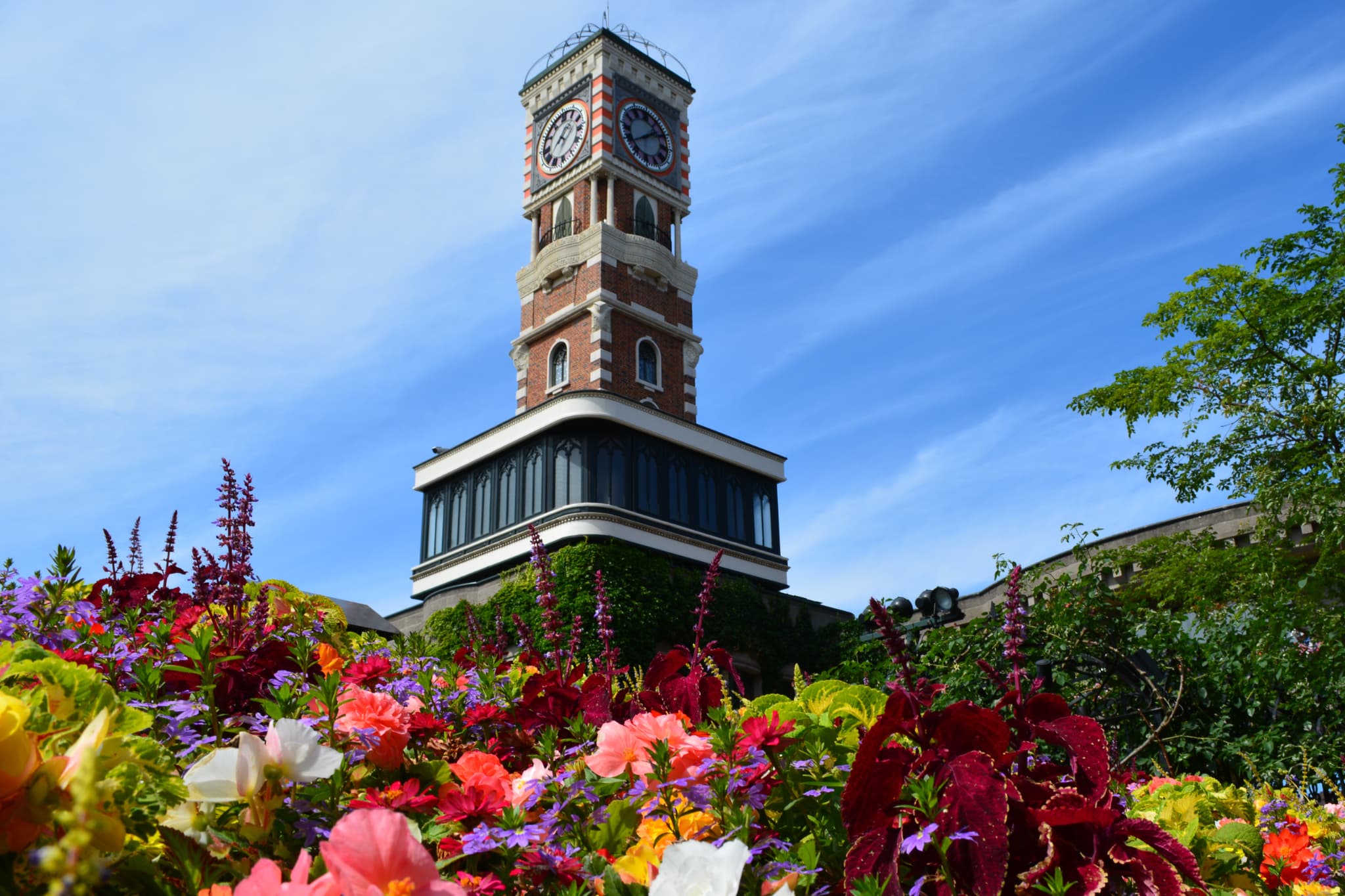 白い恋人パークチケット付きプラン
