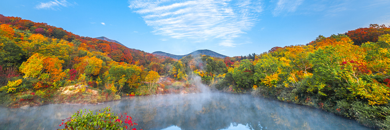 たびらいで楽しむ青森ローカル旅行
