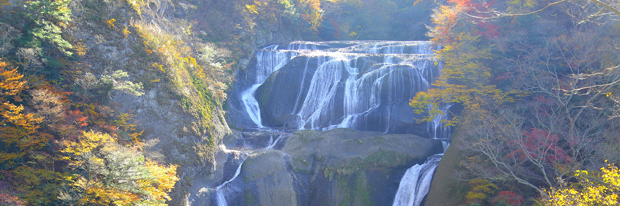 たびらいで楽しむ茨城ローカル旅行