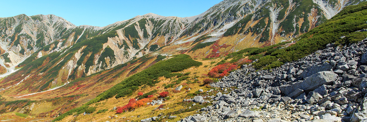 たびらいで楽しむ富山ローカル旅行
