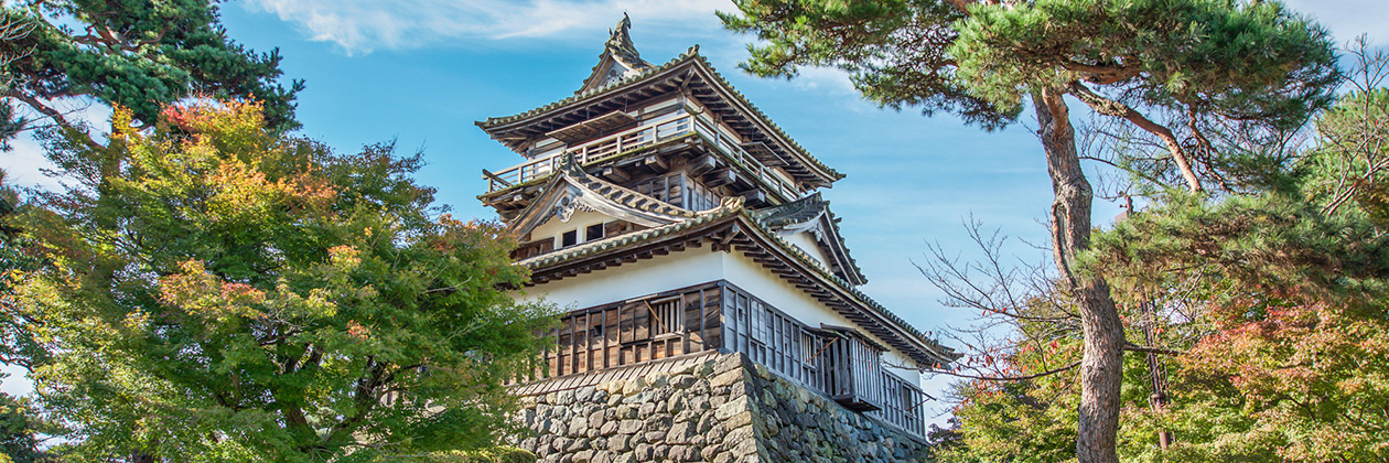たびらいで楽しむ福井ローカル旅行