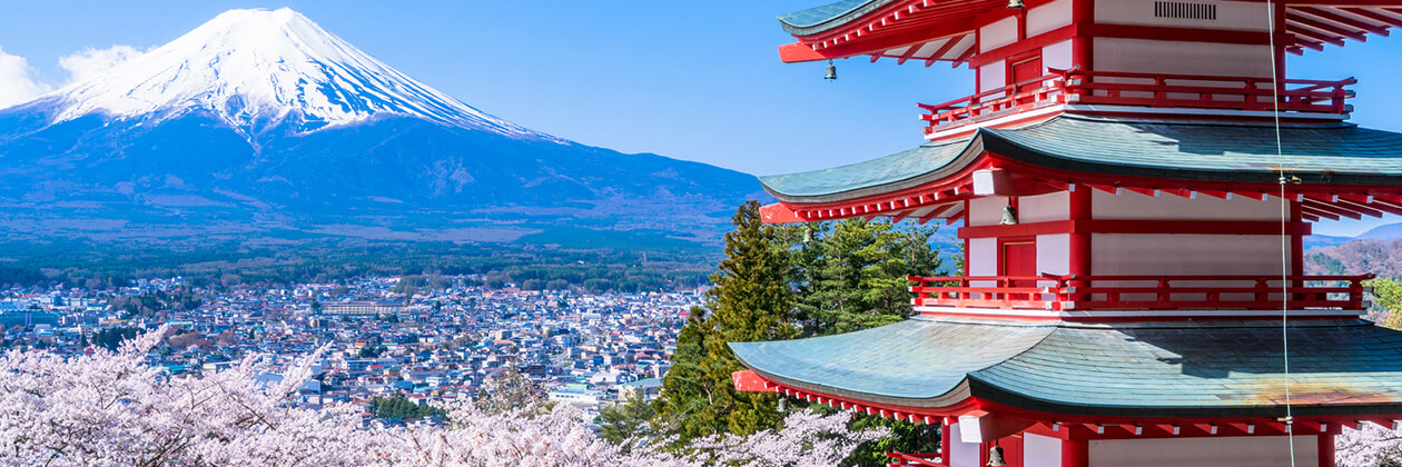 たびらいで楽しむ山梨ローカル旅行