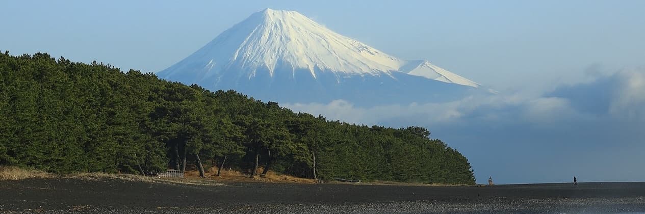静岡の隠れた魅力を知りたい？