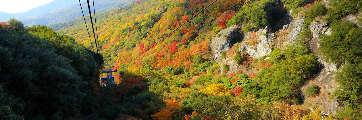 たびらいで楽しむ香川ローカル旅行