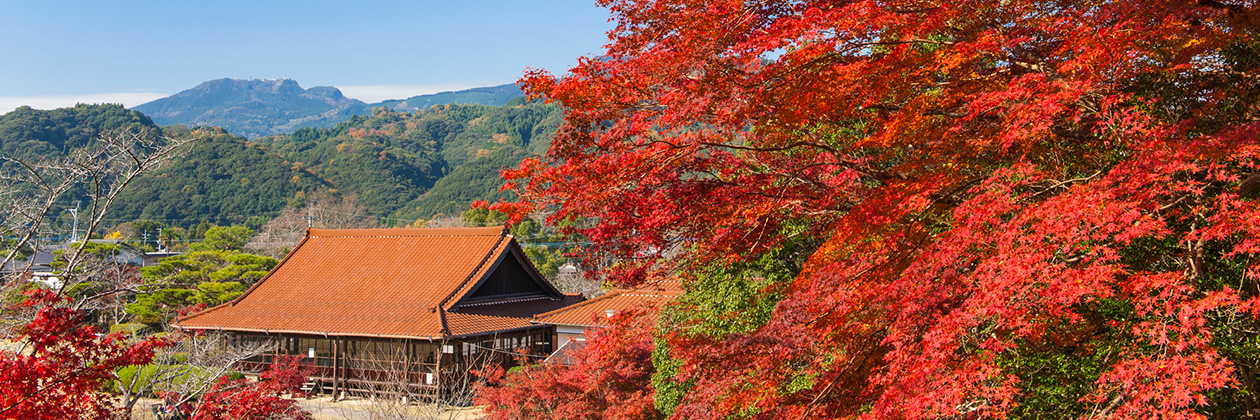 たびらいで楽しむ佐賀ローカル旅行