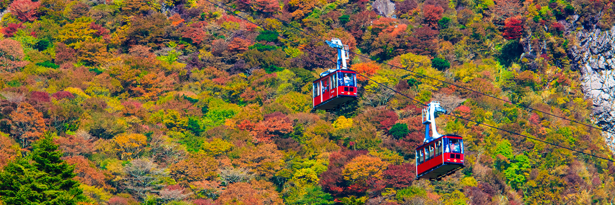 たびらいで楽しむ長崎ローカル旅行