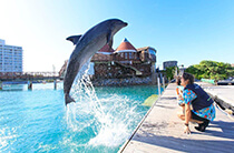 【2025年最新版】沖縄のおすすめホテルランキング