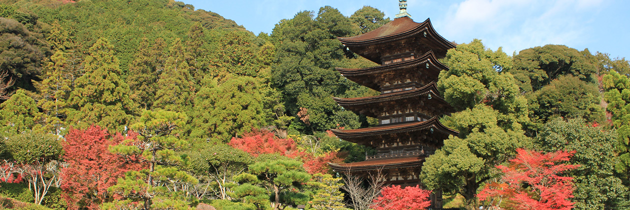 たびらいで楽しむ中国ローカル旅行
