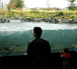 北見観光、歴史スポットからグルメまで