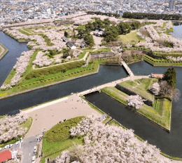 五稜郭で幕末「箱館」旅！土方歳三ファン必見のスポット