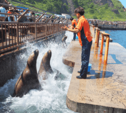 「おたる水族館」海獣ショーと秘密の楽しみ方