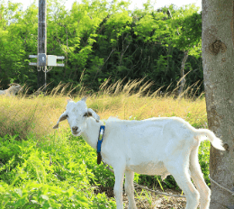 「多良間島」自然と人情が溢れる島をめぐる