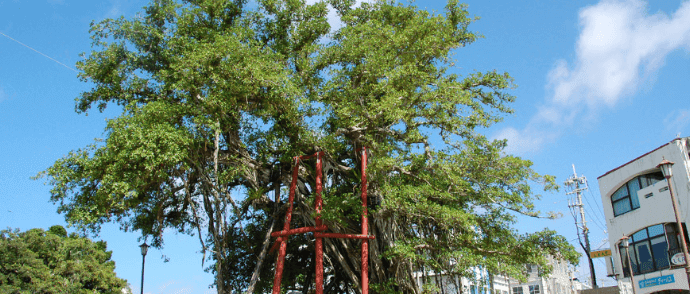 名護・本部半島