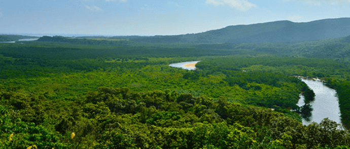 八重山諸島(石垣島・西表島など)
