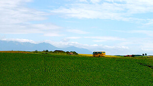 お手軽！北海道観光バスツアー