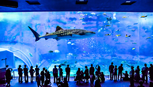 観光施設のお得なクーポン付きプラン