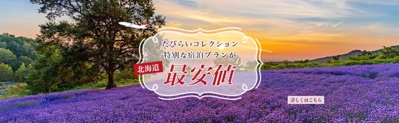 北海道の最安値プランLP