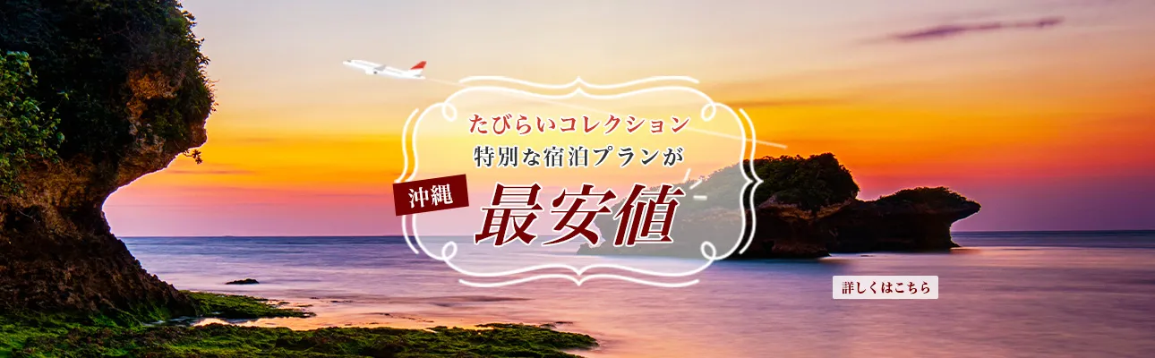沖縄の最安値プランLP