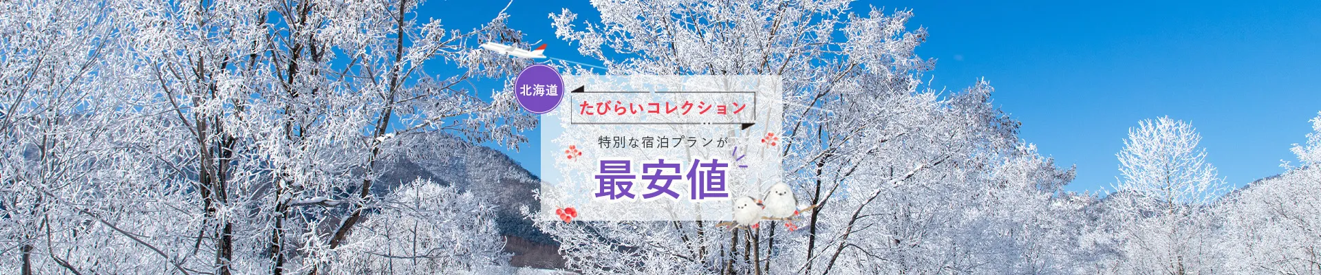 北海道公式最安値LP