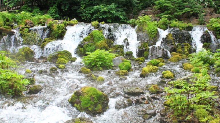 羊蹄山の後に立ち寄りたい、ふきだし公園