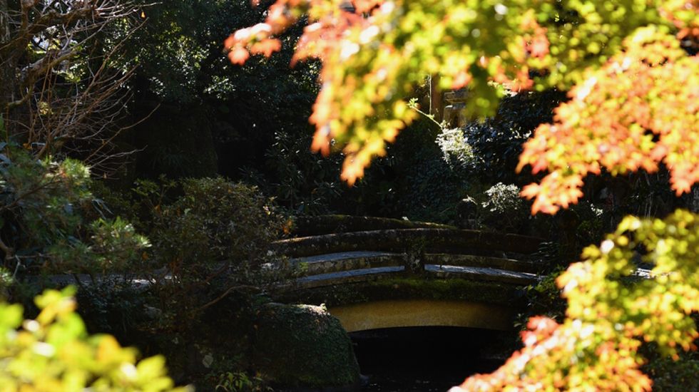 おちあいろう_秋の庭園
