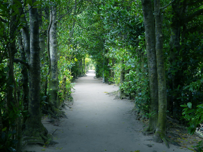 シークレットヴィラ Birth the suite（バース ザ スイート）