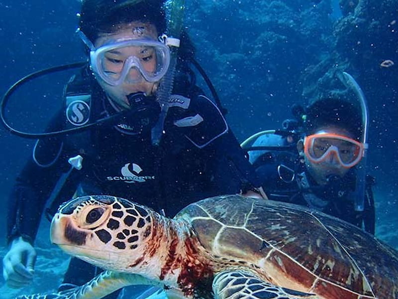 ヒルトン沖縄瀬底リゾート
