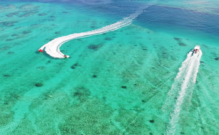 透明度の高い海