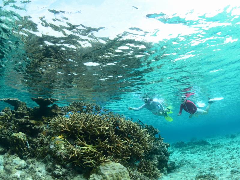 ホットクロスポイント サンタモニカ