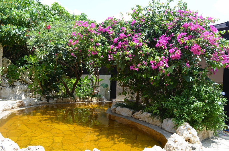 ウェルネスヴィラブリッサ