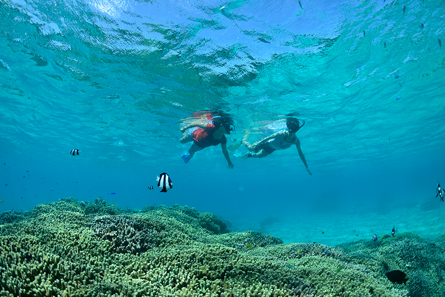 ウェルネスヴィラブリッサ