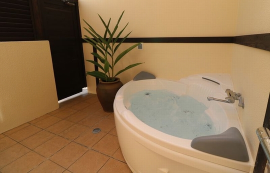 半露天ブロアーバス