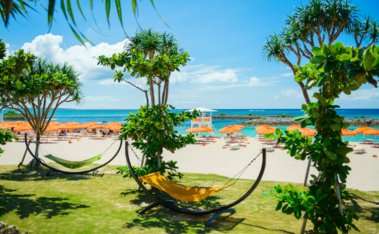 ビーチ沿いに設置されたハンモック