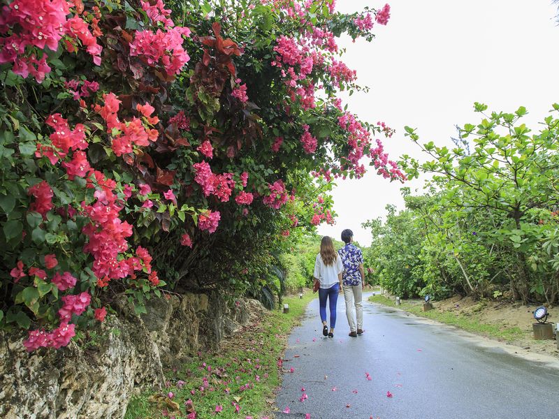 ウェルネスヴィラブリッサ