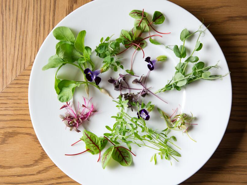 奥定山渓温泉　佳松御苑